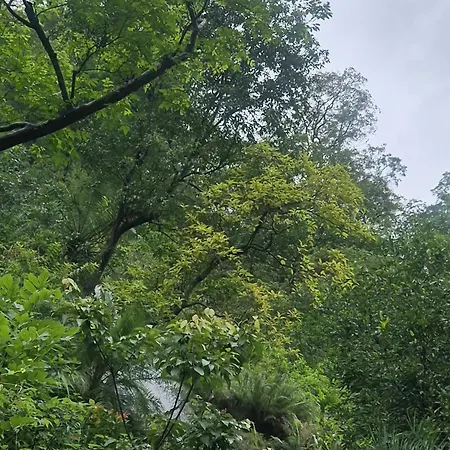 Blabla House Rishikesh-2